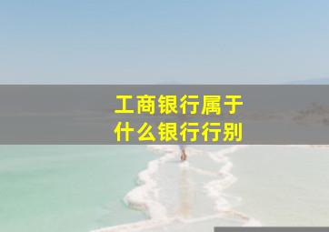 工商银行属于什么银行行别