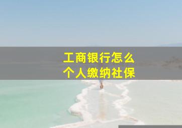 工商银行怎么个人缴纳社保