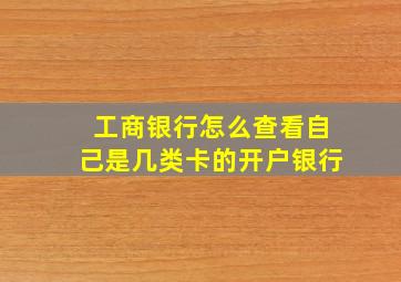 工商银行怎么查看自己是几类卡的开户银行