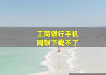 工商银行手机网银下载不了