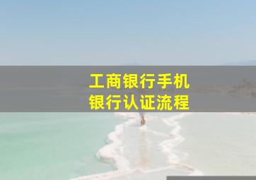 工商银行手机银行认证流程