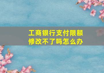 工商银行支付限额修改不了吗怎么办