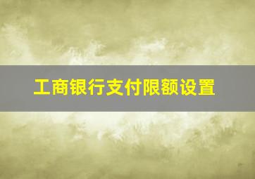 工商银行支付限额设置