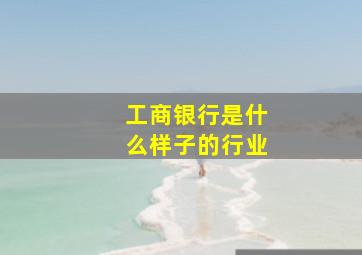 工商银行是什么样子的行业