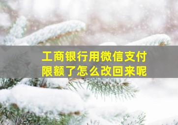 工商银行用微信支付限额了怎么改回来呢