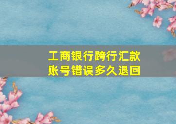 工商银行跨行汇款账号错误多久退回