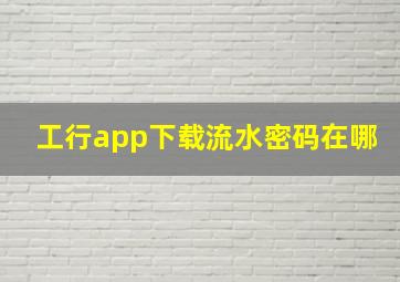 工行app下载流水密码在哪