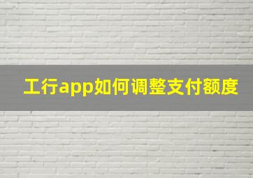 工行app如何调整支付额度