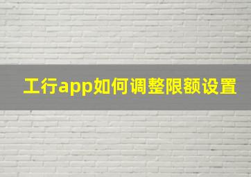 工行app如何调整限额设置