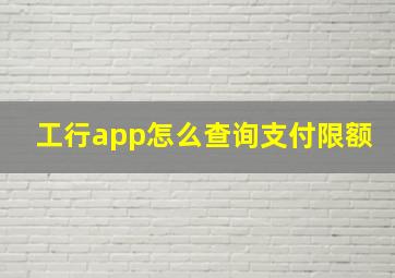 工行app怎么查询支付限额