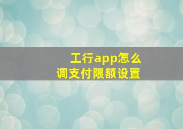 工行app怎么调支付限额设置