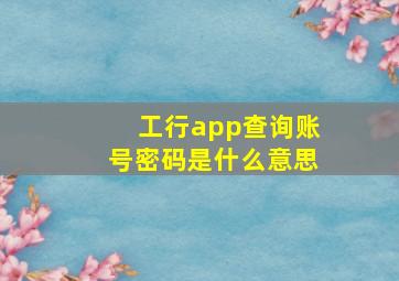 工行app查询账号密码是什么意思