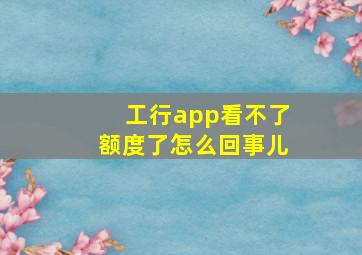 工行app看不了额度了怎么回事儿