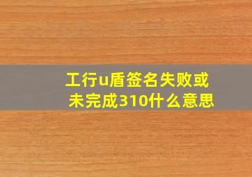 工行u盾签名失败或未完成310什么意思