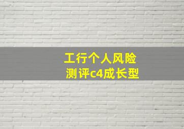 工行个人风险测评c4成长型