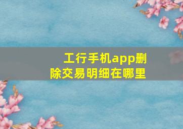 工行手机app删除交易明细在哪里