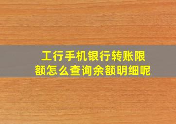 工行手机银行转账限额怎么查询余额明细呢