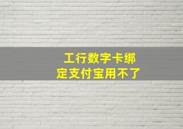 工行数字卡绑定支付宝用不了