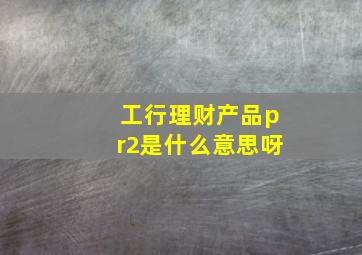 工行理财产品pr2是什么意思呀