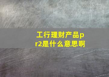 工行理财产品pr2是什么意思啊