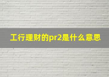 工行理财的pr2是什么意思