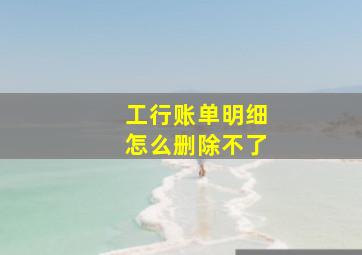 工行账单明细怎么删除不了