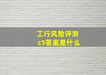 工行风险评测c5答案是什么