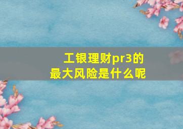 工银理财pr3的最大风险是什么呢