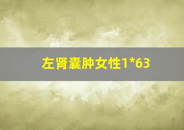 左肾囊肿女性1*63