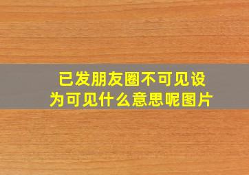 已发朋友圈不可见设为可见什么意思呢图片