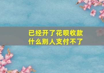 已经开了花呗收款什么别人支付不了