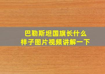 巴勒斯坦国旗长什么样子图片视频讲解一下