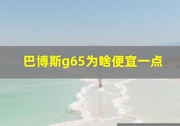 巴博斯g65为啥便宜一点