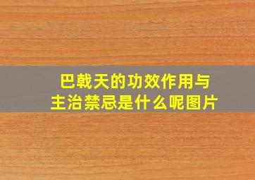 巴戟天的功效作用与主治禁忌是什么呢图片