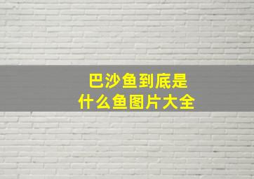 巴沙鱼到底是什么鱼图片大全