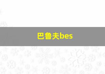 巴鲁夫bes