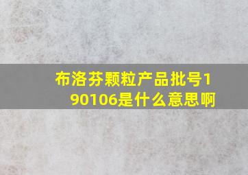 布洛芬颗粒产品批号190106是什么意思啊