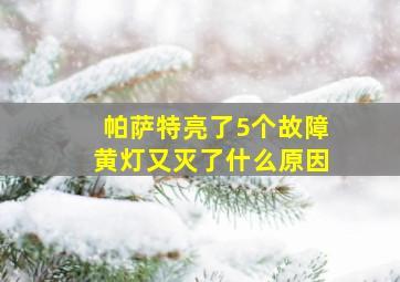 帕萨特亮了5个故障黄灯又灭了什么原因