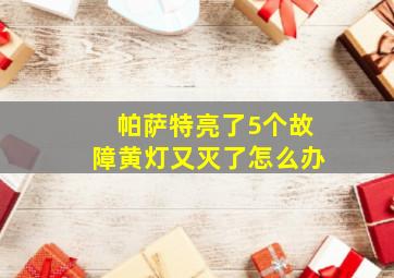 帕萨特亮了5个故障黄灯又灭了怎么办