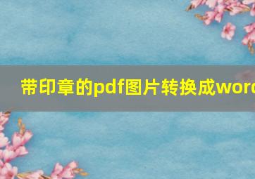 带印章的pdf图片转换成word