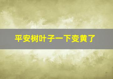 平安树叶子一下变黄了