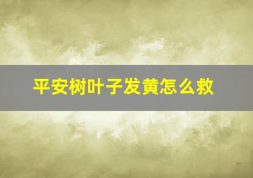 平安树叶子发黄怎么救