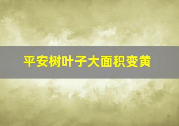 平安树叶子大面积变黄