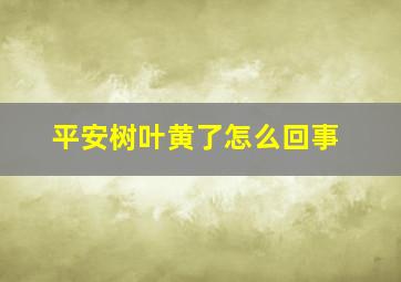 平安树叶黄了怎么回事