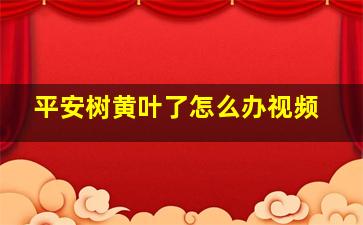 平安树黄叶了怎么办视频