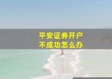 平安证券开户不成功怎么办