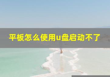 平板怎么使用u盘启动不了