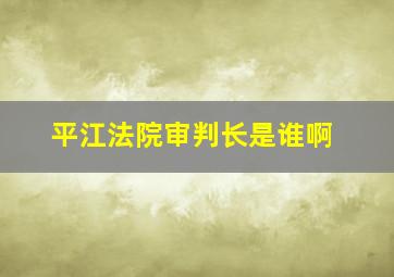 平江法院审判长是谁啊