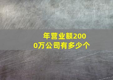 年营业额2000万公司有多少个