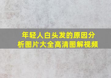 年轻人白头发的原因分析图片大全高清图解视频